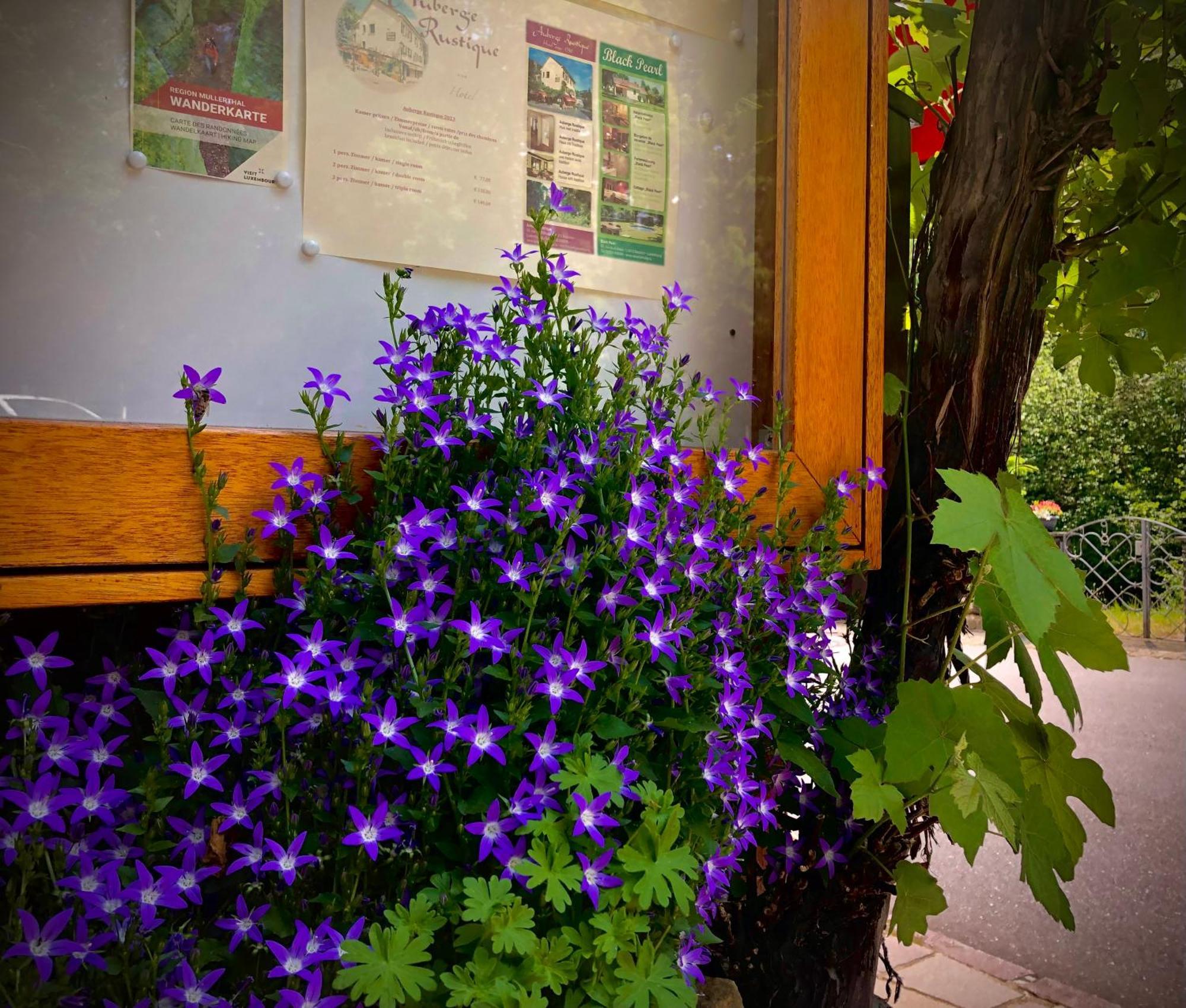 Hotel Auberge Rustique Beaufort Dış mekan fotoğraf